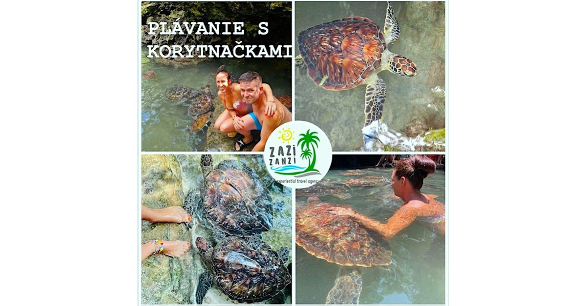 Sea Turtles swimming Nungwi Zanzibar